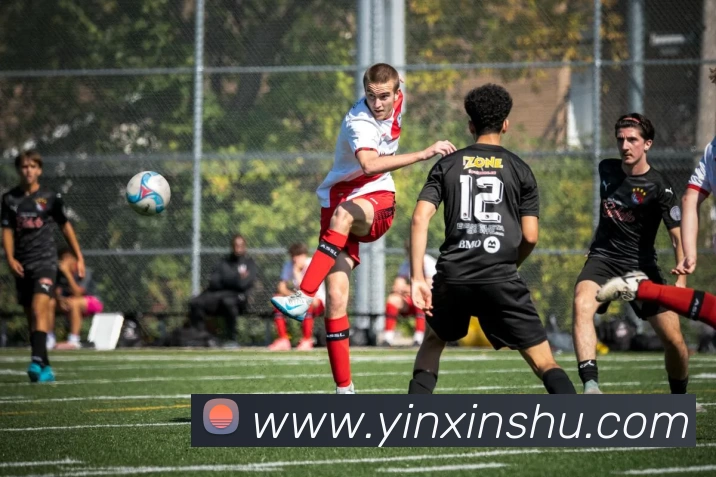 欧宝官方版网站 - 欧宝online(中国)平台生态图